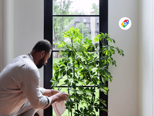 Google Shopping Influencer Campaign