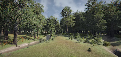 Forest Scene