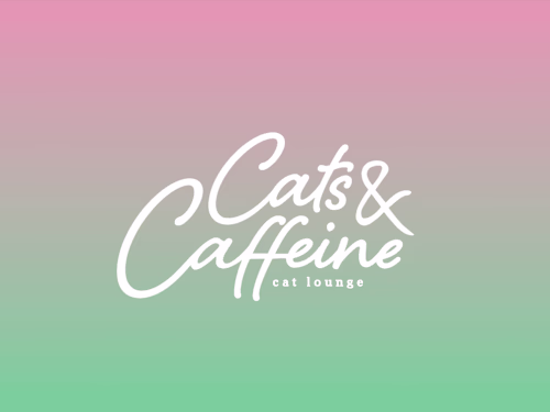 Cats & Caffeine Brand Identity