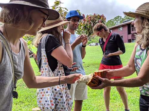 Farm Like A Goddess Website