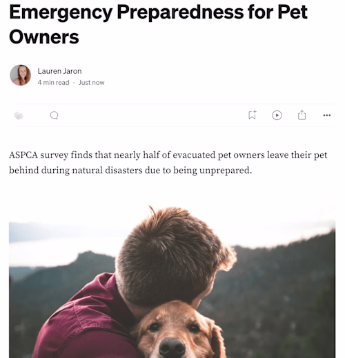 Medium Blog Articles