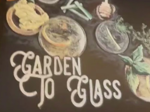 Local Restaurant | Business Content