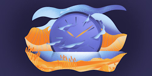 Beebole web illustration package