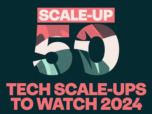 Capsule: Crafting Hero Content for Award-Winning Insurance Firm