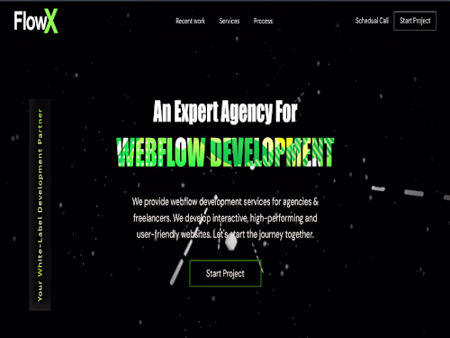 FlowX: An Expert Webflow Development Agency