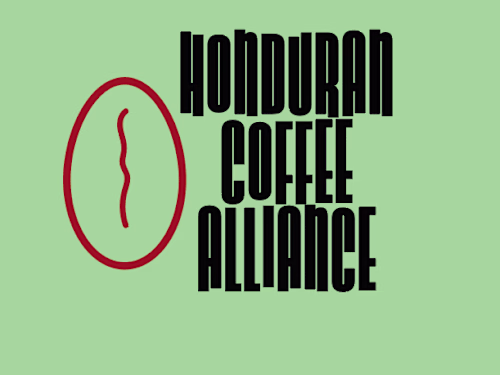 Finding Their Voice — Social Strategy for HCA