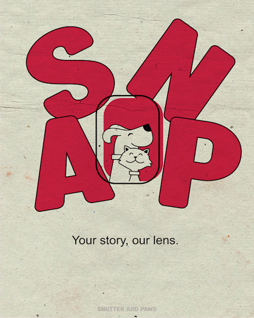 Shutter and Paws is a pet photography company on Behance