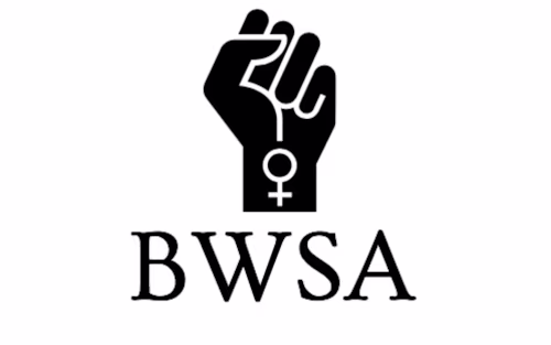 Black Women’s Studies Association