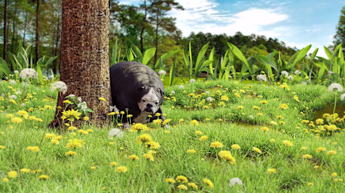 Hasan_Feroz_Showreel