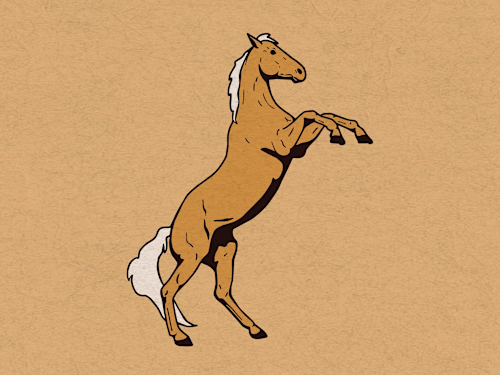 Brand Identity for El Palomino Motel