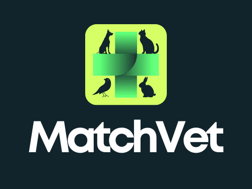 Logo Creation for Startup Business