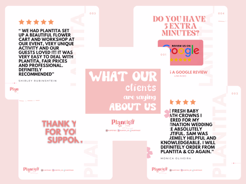 Social Media Content + Management