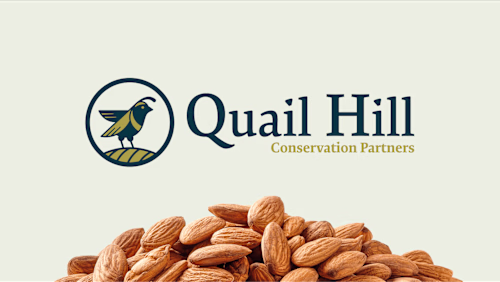 Blue Cyclops | Quail Hill