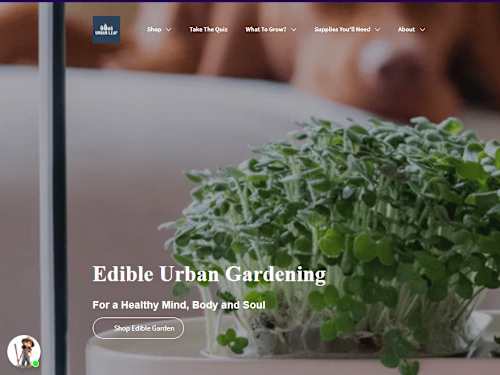Tailored Responsive Shopify Store w/ Customization Capabilities