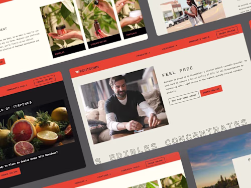 Rootdown: Trusted Medical Dispensaries in Mississippi