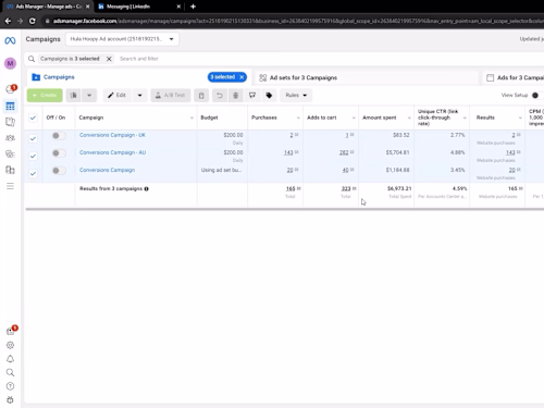 Cross-Platform Paid Social Campaign – Meta & TikTok