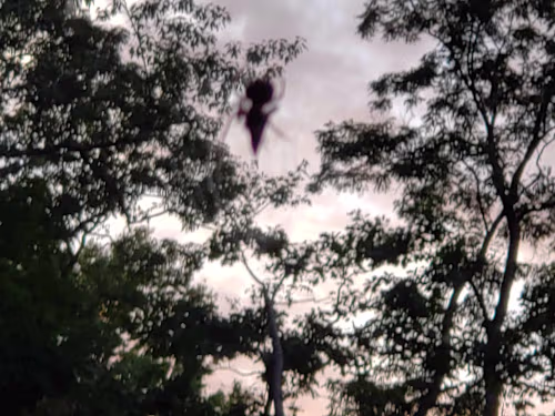 Data Migration and System Implementation Support Projects