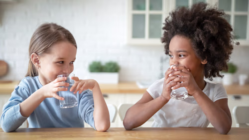 Home Water Filters - The Ultimate Guide to Water Filtration Sys…