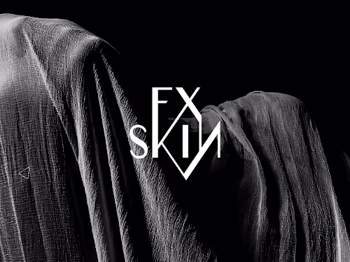 Fx Skin Visual Identity + Web Design