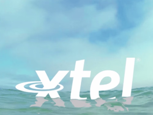 Neato Speedo - Logo Sting