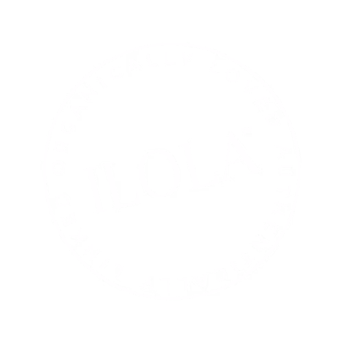 ILOLA Influencer and UGC Marketing Strategy