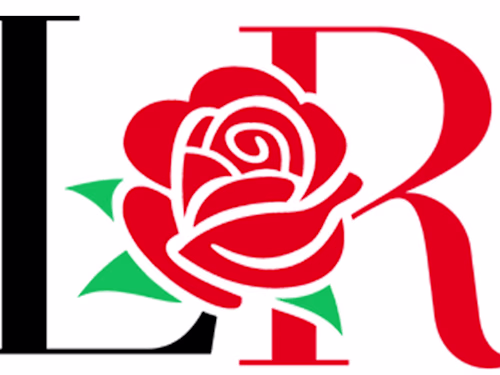 LOGO Design Portfolio