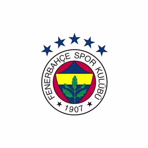 Fenerbahçe SK (@fenerbahce) Official  | TikTok