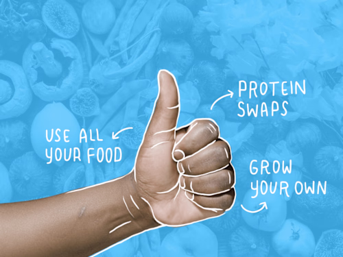 UNEP - Anatomy of Action