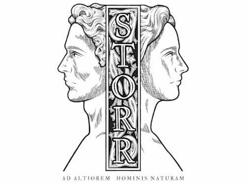 Brand Design — STORR