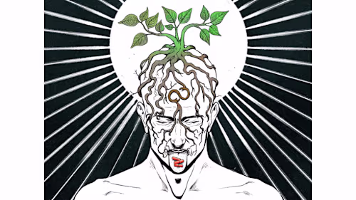 Series of illustrations created to