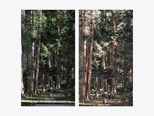 Photography editing of japanese forest