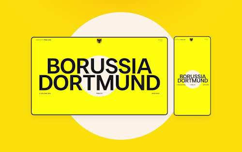 BVB Tribute Website Development