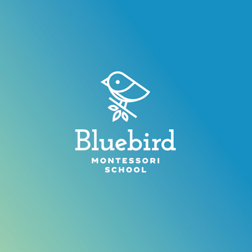 Logo & brand identity for a school