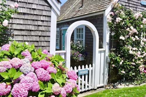 BLOG: Exploring the Picture-Worthy Gems of Nantucket