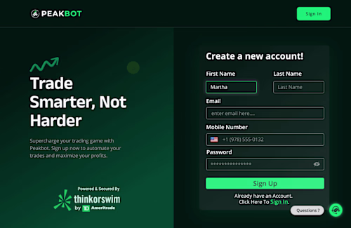 Elevating UX/UI for PeakBot