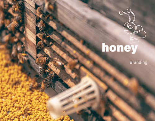 Honey Bunny Branding 🐻🍯