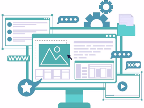 Comprehensive Data Entry for E-commerce Site