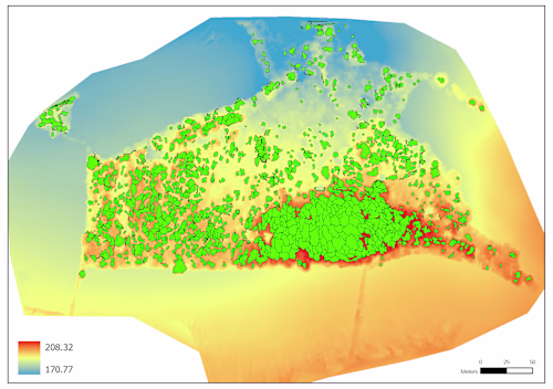 Canopy crown indentification using LiDAR