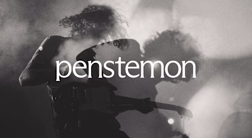 Penstemon - Indie Rock Music Label on Behance