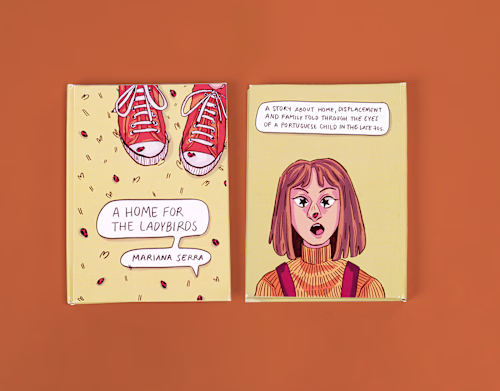 A Home For The Ladybird – Children's Book Illustration