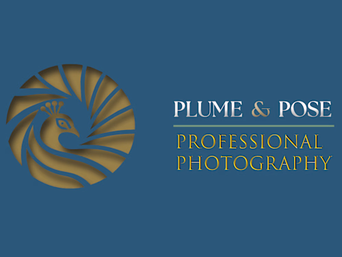 Photography Logo & Brand Packet Design