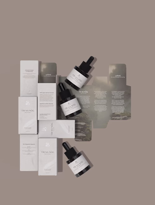 I worked with Base State