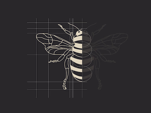 Student's Brotherhood of Ostroh Academy