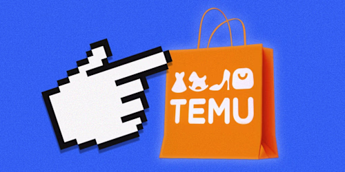The Secrets Behind Temu’s Unbeatable Prices