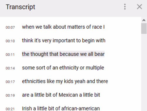 YouTube Video Transcription