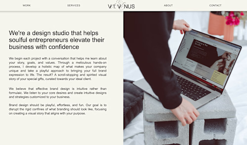 Volume Venus - Minimalist SEO Web Copy