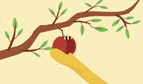 Creating the framework for a purpose-led food animation