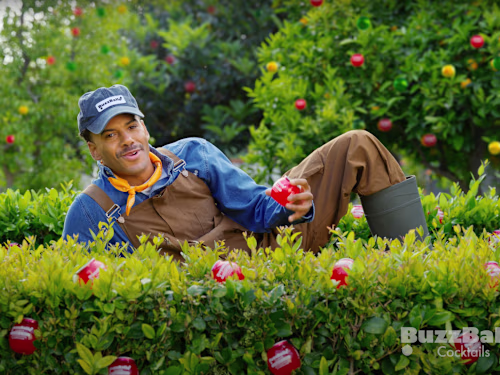 BuzzBallz Campaign | BuzzBallz Land 