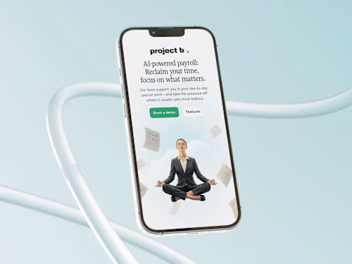 Project B. | AI-powered payroll platform