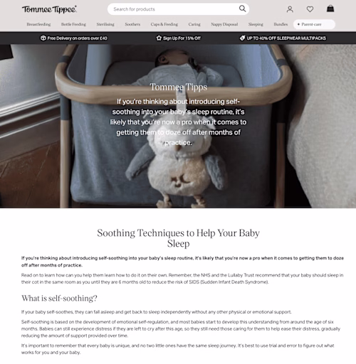 SEO and Content Marketing, Health & Wellness Coaching Business